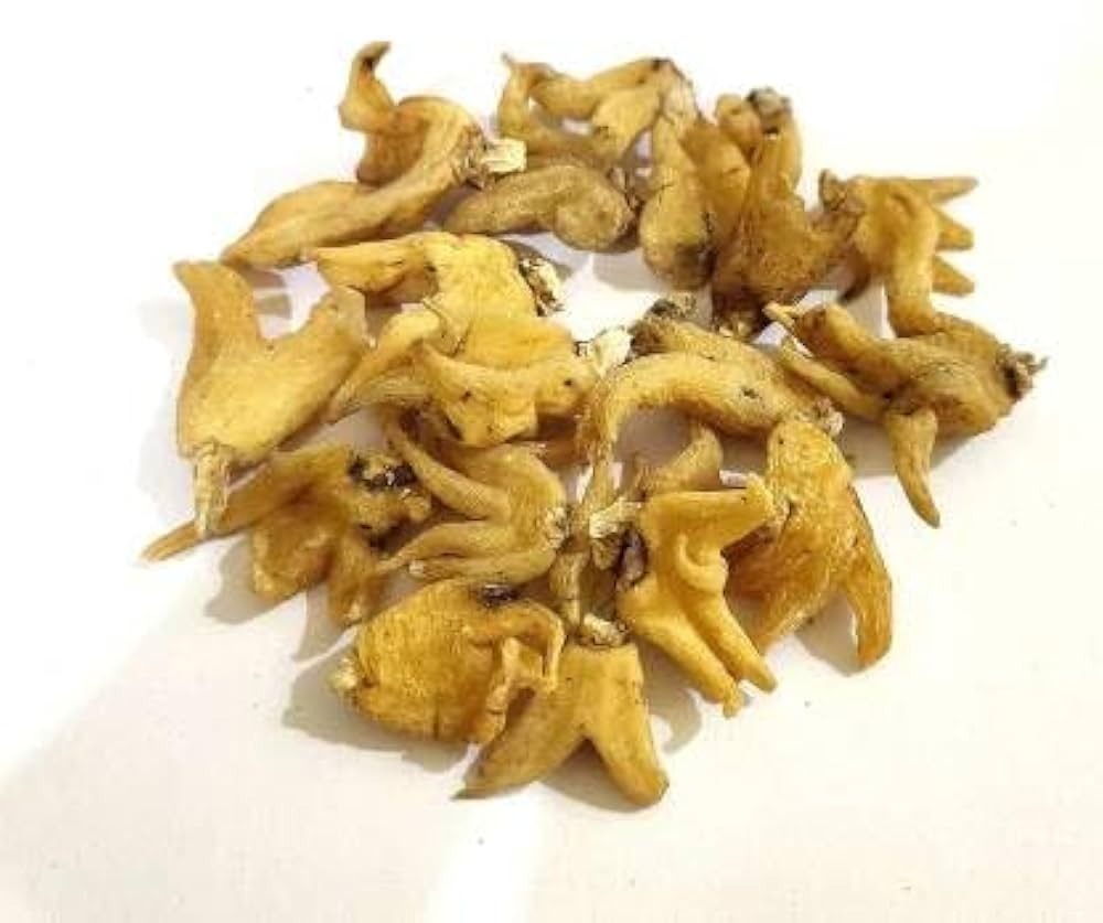 kryo x26 mtb model z kryo x26 mtb model z